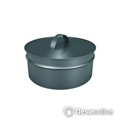 Заглушки Теплов и Сухов Заглушка ревизии Термо-Р 304 0.5 D220(120) в Кирове