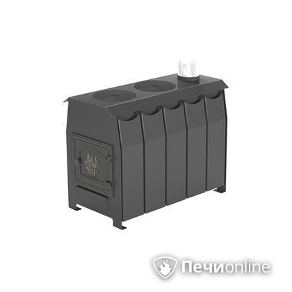 Отопительно-варочная печь Везувий Комфорт 300 (ДТ-3) в Кирове