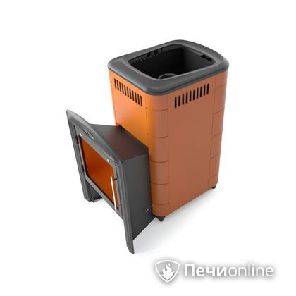 Дровяная печь-каменка TMF Тунгуска Cast Витра терракота в Кирове