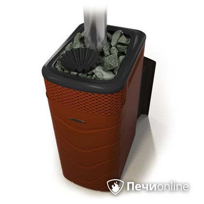 Дровяная банная печь TMF Гейзер XXL 2017 Inox Витра закрытая каменка терракота в Кирове